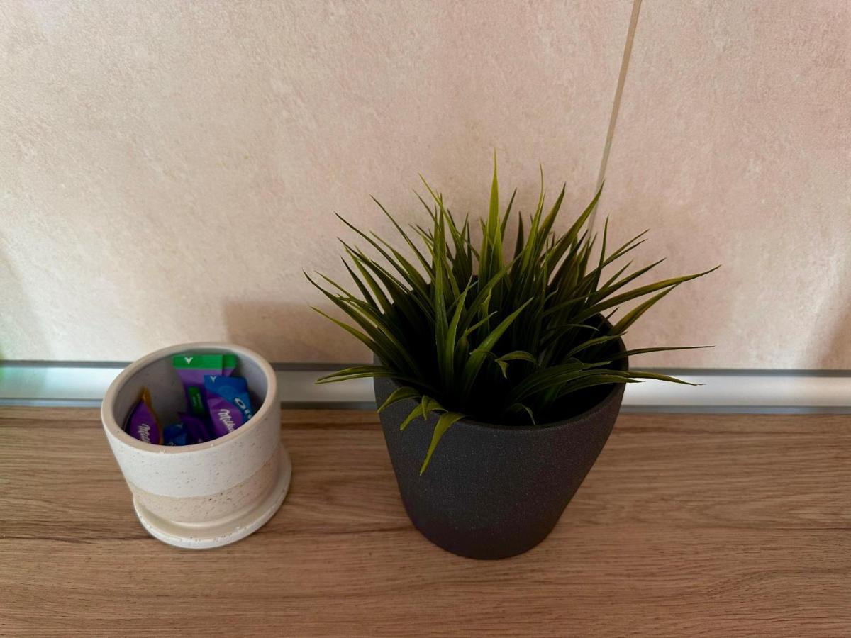 Cozy Apartment With Self Check-In Near Promenada Mall And Verdi Park Bukarest Eksteriør billede