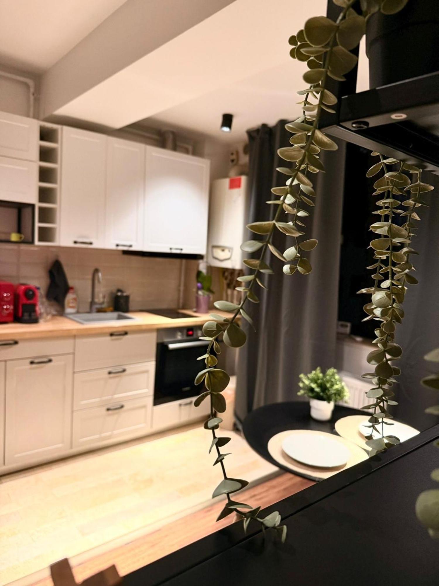 Cozy Apartment With Self Check-In Near Promenada Mall And Verdi Park Bukarest Eksteriør billede